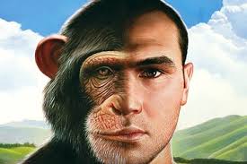 uomo_scimmia