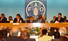 Fao_conferenza