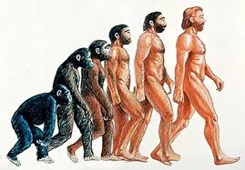 evoluzionismo