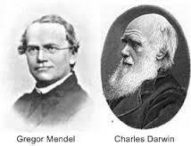 Mendel_Darwin