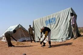 Unhcr_Onu